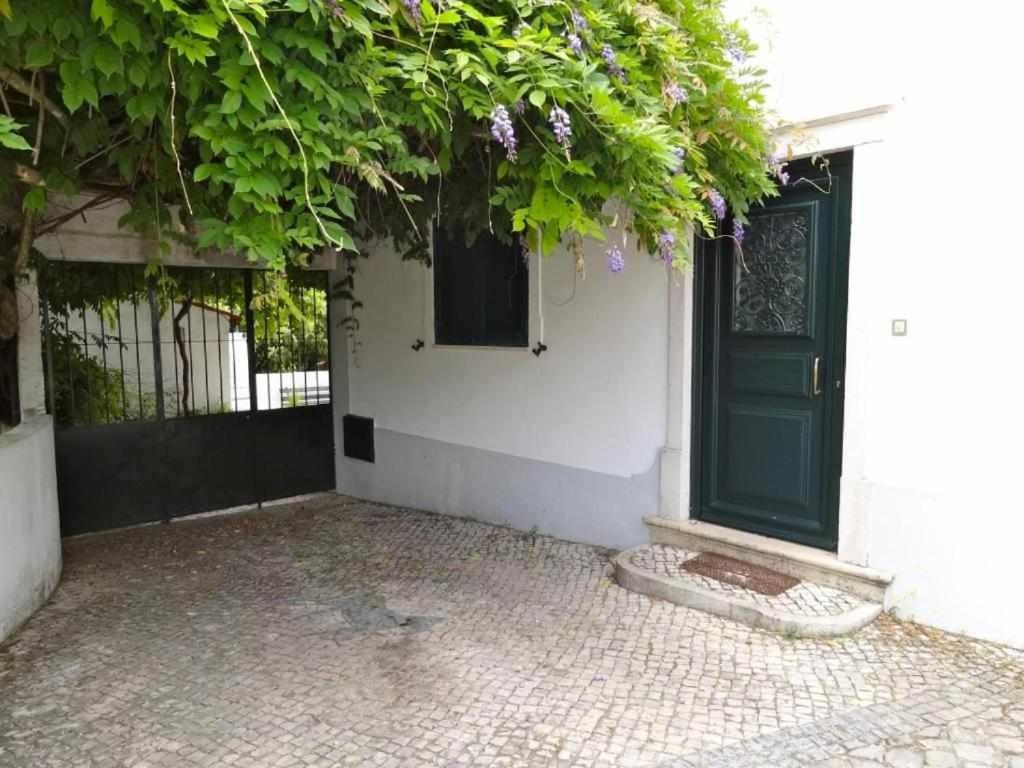 Casa Dos Pocinhos Ferias Tranquilas No Campo Torres Novas Exterior photo