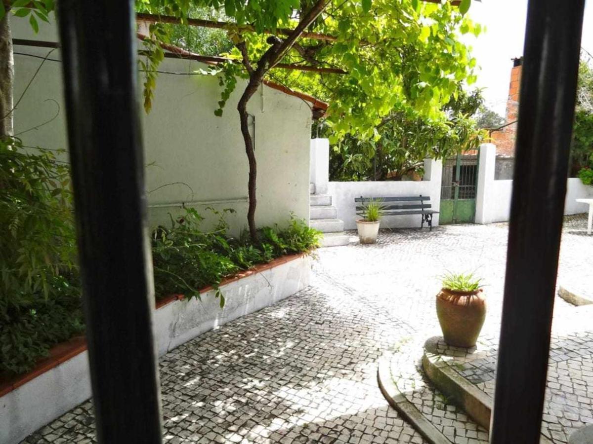 Casa Dos Pocinhos Ferias Tranquilas No Campo Torres Novas Exterior photo